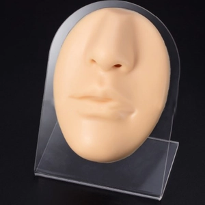 Detailed silicone facial model with nose and lips on an acrylic stand for medical training
