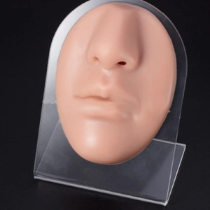 Silicone nose and lip practice model for piercing on a clear acrylic stand