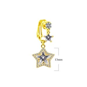 Detail eines 13mm Goldstern-Anhängers mit Zirkon-Inlay und Federclip-Verschluss