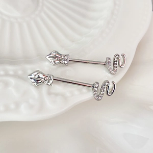 Detail van zilveren hart- en slangvormige tepelpiercings met kristallen op wit bord