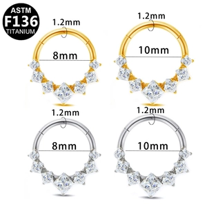 Detail showing G23 titanium septum rings with square zircons in gold and silver finishes