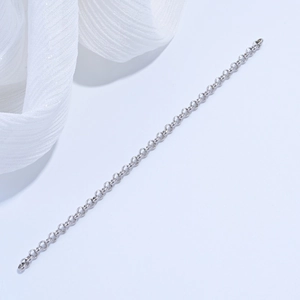 Vue détaillée de la chaîne rolo en argent sterling S925 avec finition métal poli