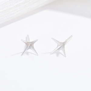 Vue macro de clous d'oreilles étoile à quatre griffes en argent S925 avec finition mate