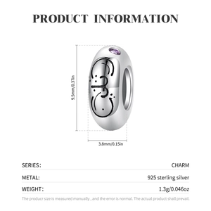 Makro-Detail des S925 Sterlingsilber Charms mit lila Zirkon und gravierten Symbolen