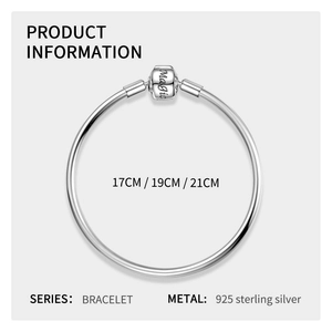Detailed view of 925 sterling silver snake chain bracelet with Magic charm and clasp