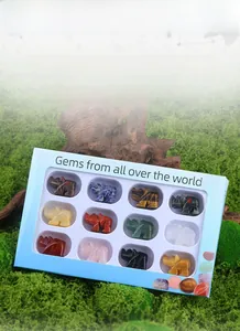 Coffret de 12 figurines de rhinocéros sculptées en pierres naturelles précieuses