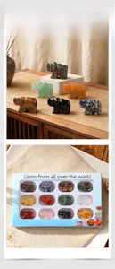 Détails de douze figurines de rhinocéros en pierres précieuses dans leur coffret cadeau