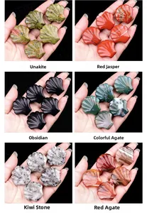 Gros plan de divers coquillages en pierres naturelles comme l'obsidienne et le jaspe