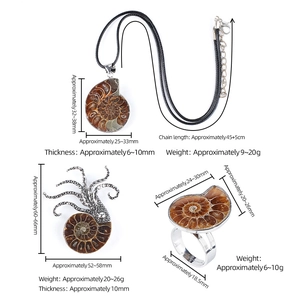 Parure bijoux fossile ammonite avec pendentif pieuvre argentée, bague et collier sur blanc