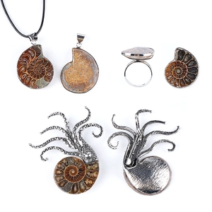 Parure de bijoux fossiles d'ammonite avec broches pieuvre argentées et pendentifs
