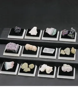 Educational set of 12 natural ore specimens including amethyst and quartz in white frames