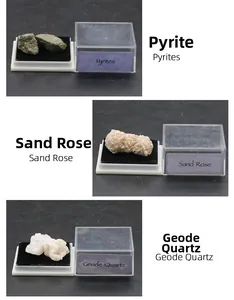 Macro view of Pyrites, Sand Rose and Geode Quartz specimens in clear display boxes