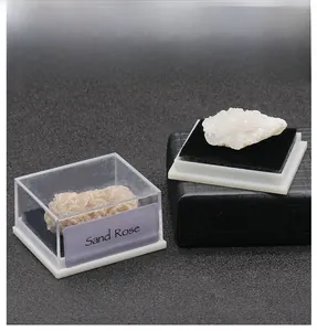 Detailed specimen of a natural Sand Rose mineral crystal in a labeled display box