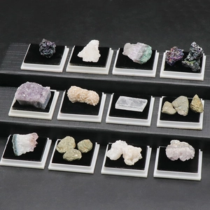 12-piece set of natural mineral ore specimens on black and white display bases