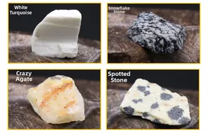 Detailed views of howlite, snowflake obsidian, crazy agate and dalmatian jasper specimens