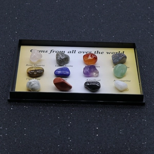 Set of 12 natural polished mineral specimens in black display tray with gem names