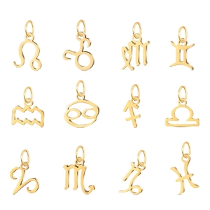 Lot de 12 pendentifs signes du zodiaque en acier doré poli pour la création de bijoux DIY