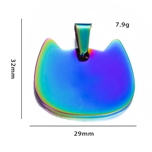 Regenboog roestvrijstalen kattenpenning met afmetingen van 32 mm hoog en 29 mm breed