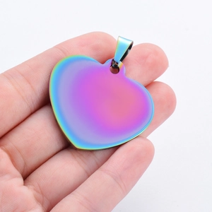 Regenboog rvs hartvormige hanger dierenpenning vastgehouden in de hand op witte achtergrond