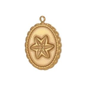 Vintage ovale roestvrijstalen hanger met sterreliëf en kralenrand voor sieraden