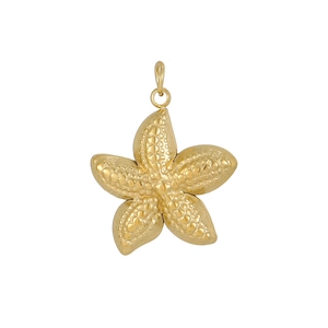 Macro detail of golden starfish pendant featuring textured relief and a sturdy bail