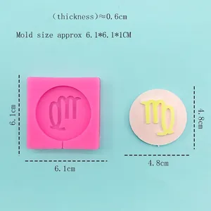 Pink silicone mold for 12 zodiac signs DIY chocolate and fondant cake decoration