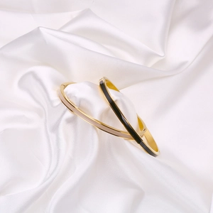 Close-up of titanium steel bangle featuring colorful enamel inlay and gold plating