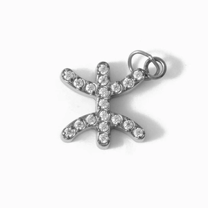 Macro view of silver-toned zodiac pendant featuring CNC-set diamonds and Berber symbols