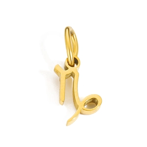 Detailed view of a gold Capricorn zodiac symbol pendant made of polished stainless steel