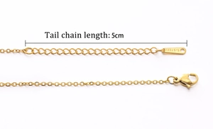 Detail van de 5 cm verlengketting en karabijnsluiting van de gouden edelstalen ketting