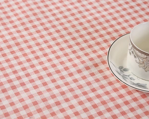 Nahaufnahme der rot-weißen karierten Tischdecke mit Kaffeetasse und Untertasse