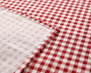 Close-up of red and white checkered tablecloth featuring detailed stitching and fabric texture