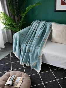 Detail of light blue chenille sofa cover with carriage pattern and white lace trim