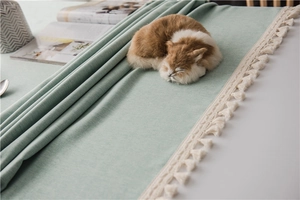 Detail of mint green tablecloth fabric showing rich texture and white fringe tassels