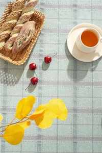 Detail view of sage green checkered tablecloth with cotton linen texture and fringe