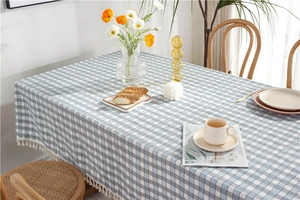 Detail shot of blue and white checkered tablecloth with decorative white tassels