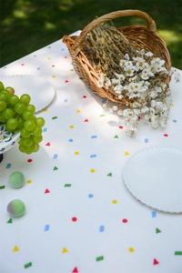 Detail of white cotton tablecloth with geometric prints and ruffled edge in picnic setting