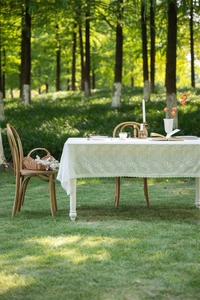 Close-up of elegant French lace tablecloth with white embroidery and scalloped edges