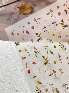 Macro shot of translucent leaf nail art stickers with autumn foliage and branches