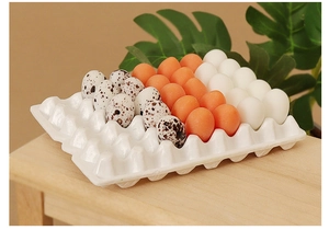 Detailed macro view of dollhouse miniature eggs in a white tray for creative kitchen decor