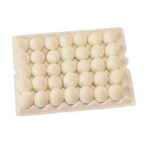 Miniature dollhouse food play set with 30 realistic white resin eggs in a 5x6 tray mold