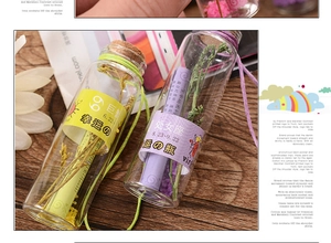 Close-up of glass zodiac wishing bottles with cork stoppers, dried flowers, and scrolls