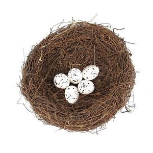Handmade rattan bird nest with five speckled white eggs for Easter and photo props