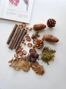 Macro shot of natural dried pine cones, acorns and wood slices for DIY woodland crafts