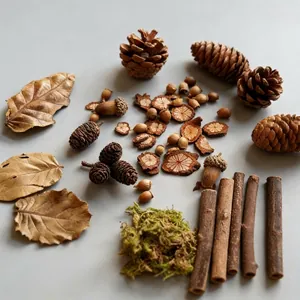 Natural DIY set with dried pine cones, acorns, leaves, and wood slices for rustic decoration