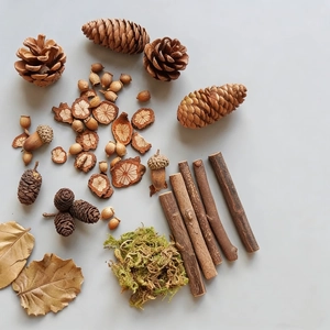 Natural dried pine cones acorns and wooden slices DIY set for rustic forest decor