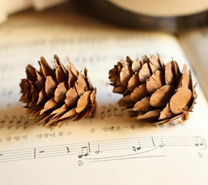 Macro shot of natural dried pine cones on vintage sheet music for DIY craft decoration