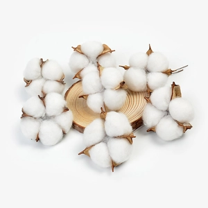 Close-up of natural dried cotton flower heads on wood slice for DIY floral decor