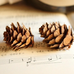 Natural decorative pine cones for DIY crafts and rustic Christmas holiday home decoration