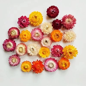 Macro-opname van kleurrijke gedroogde strobloemhoofdjes in roze en geel voor DIY-projecten